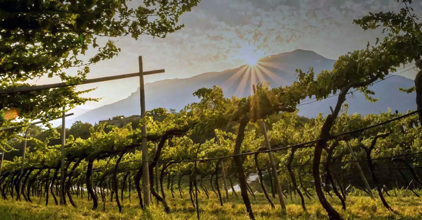 Passione Italiana Beograd