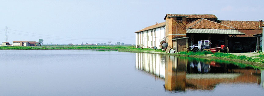 Pirinac Gli Aroni Passione Italiana Beograd