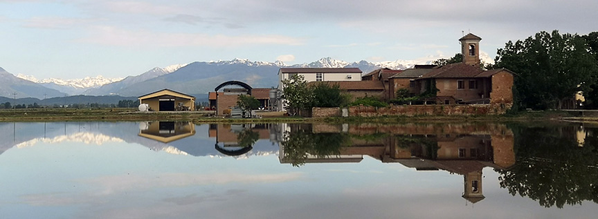 Pirinac Gli Aroni Passione Italiana Beograd