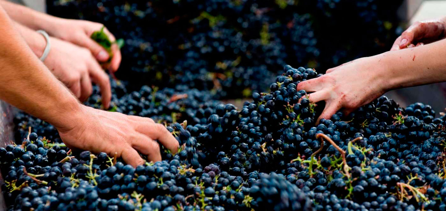 Passione Italiana Beograd