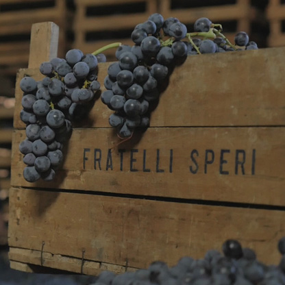 Ferrari - Passione Italiana Beograd