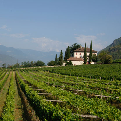 Terlaner - Passione Italiana Beograd