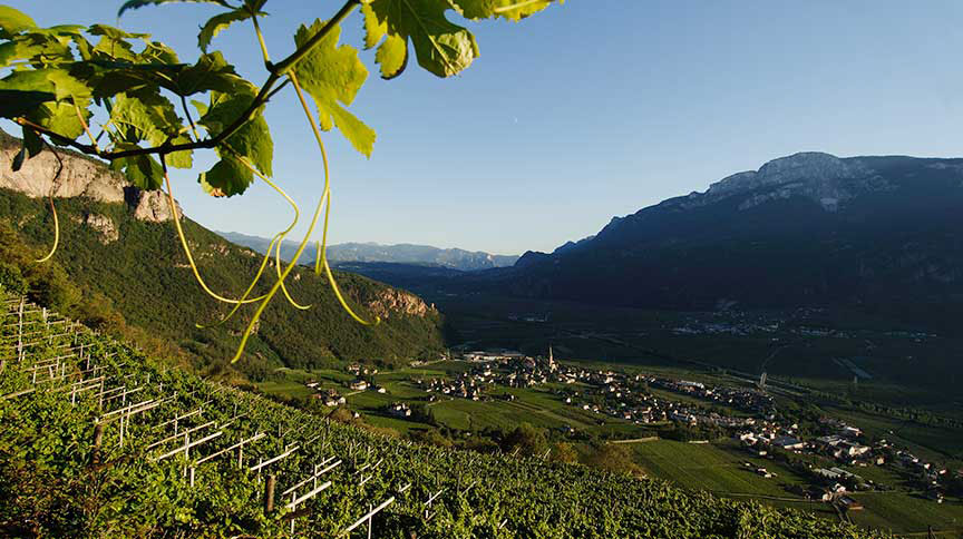 Passione Italiana Beograd